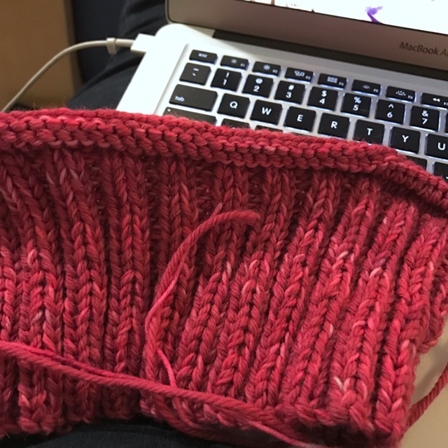 Knitting wip in progress